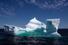 Iceberg off St Anthony