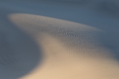 Dune shapes