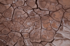Desert mud patterns