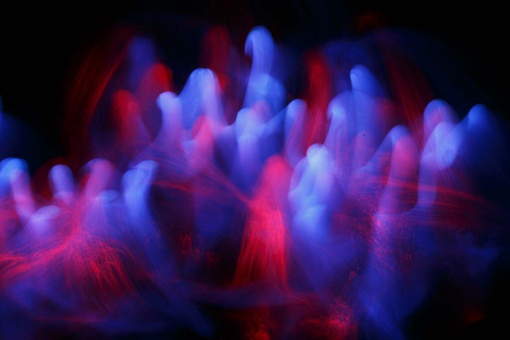 _MG_0564