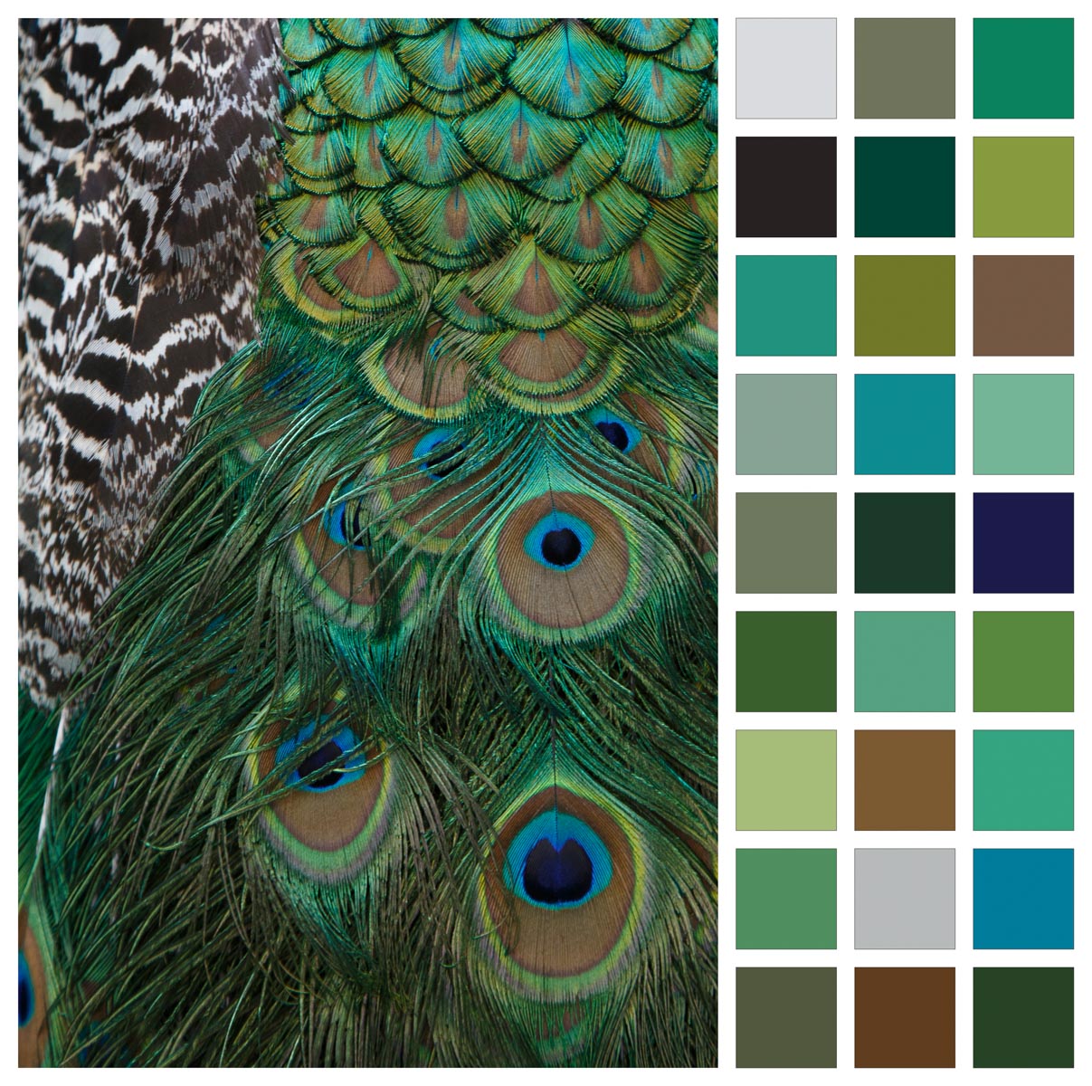 ‘Boxer’ Photoshop Plugin